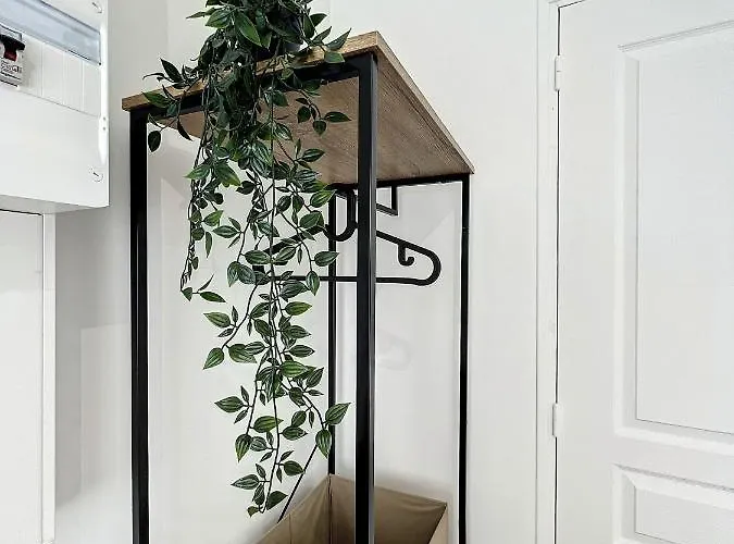 Les D'elina - Entrée Autonome *